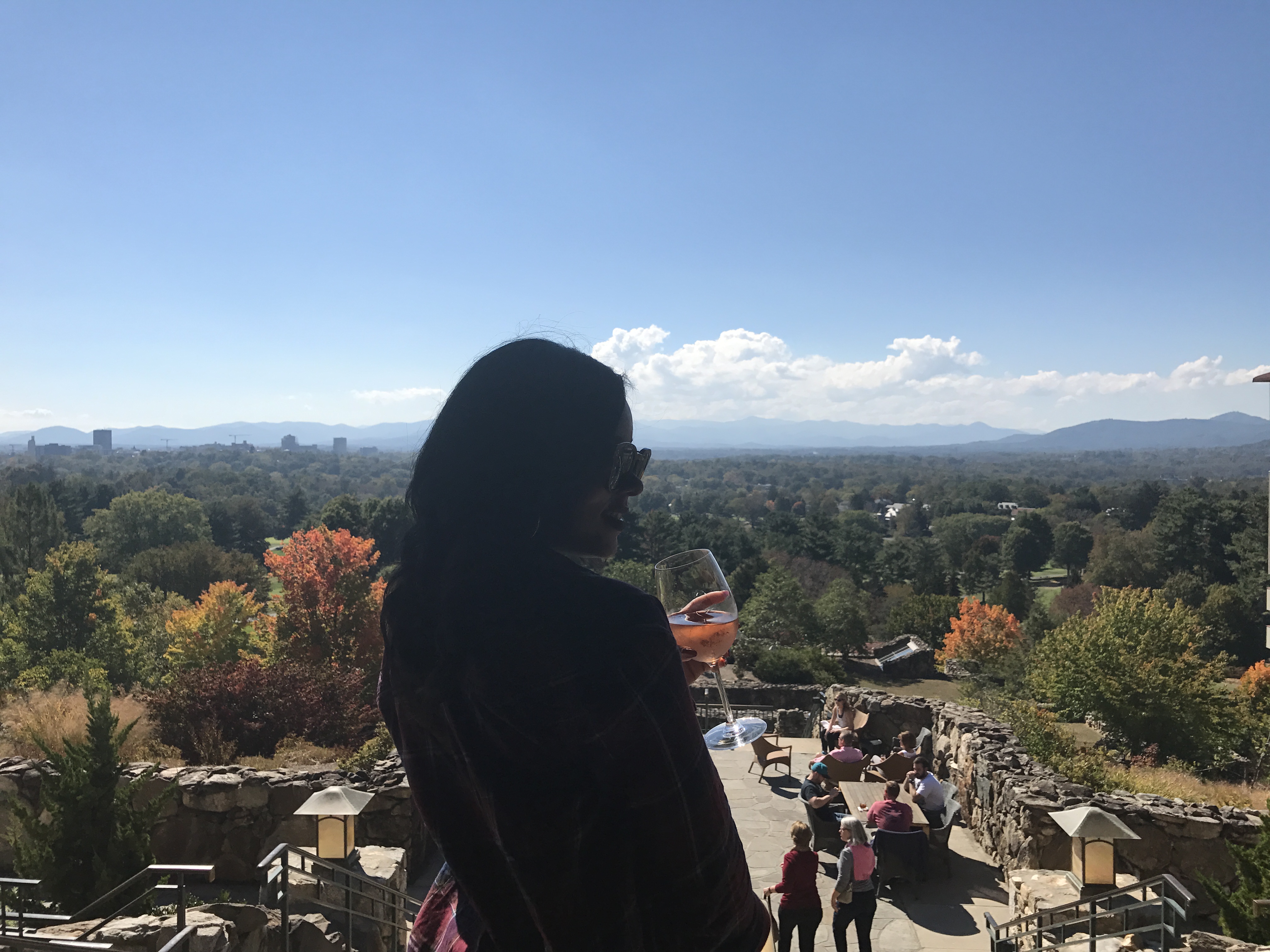 Asheville | Shades of Pinck Asheville | Shades of Pinck