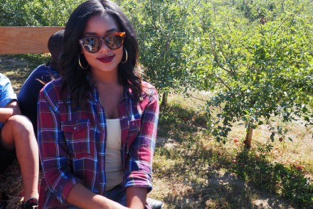 Justus Orchard Asheville | Shades of Pinck