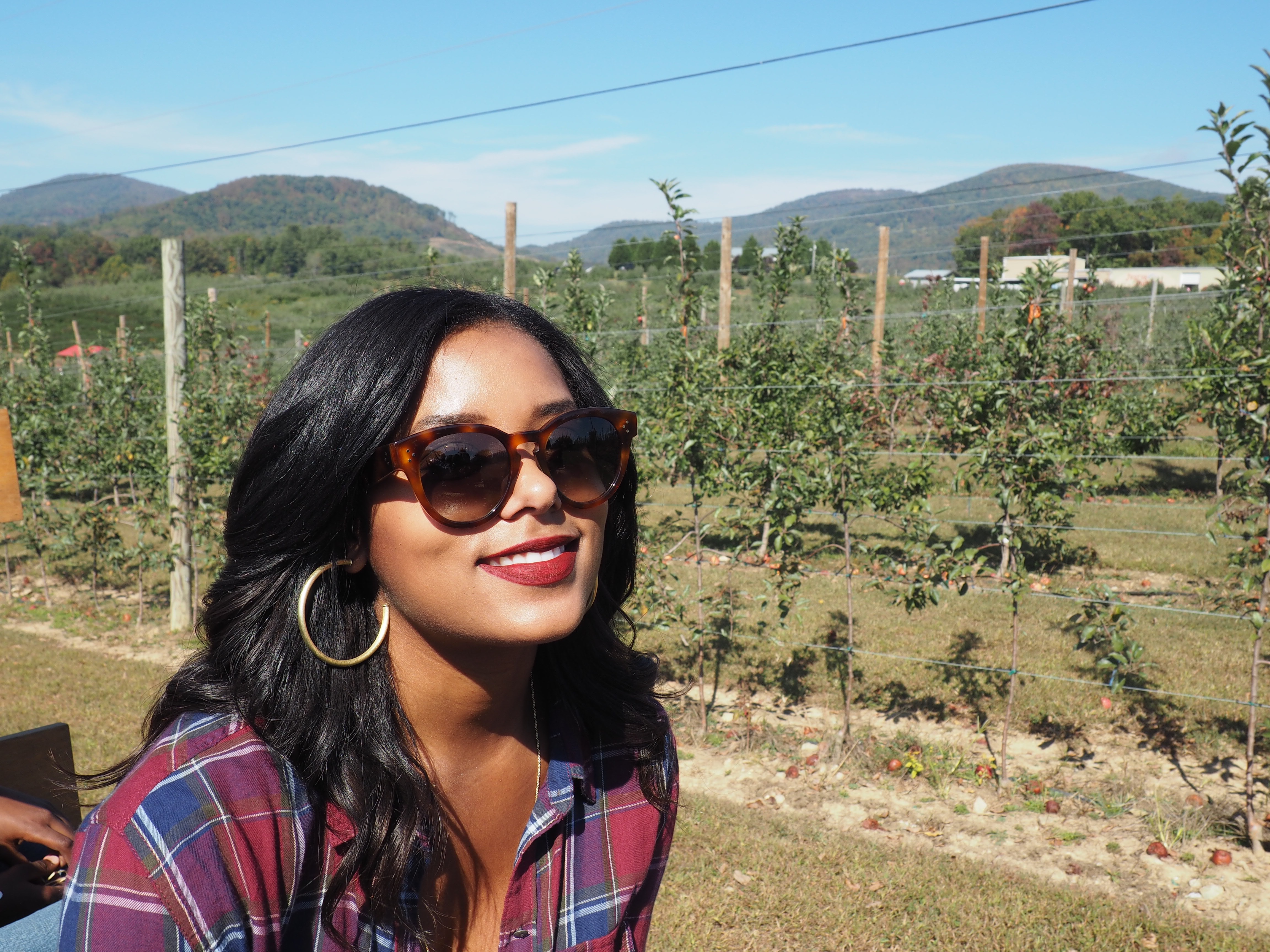 Justus Orchard Asheville | Shades of Pinck