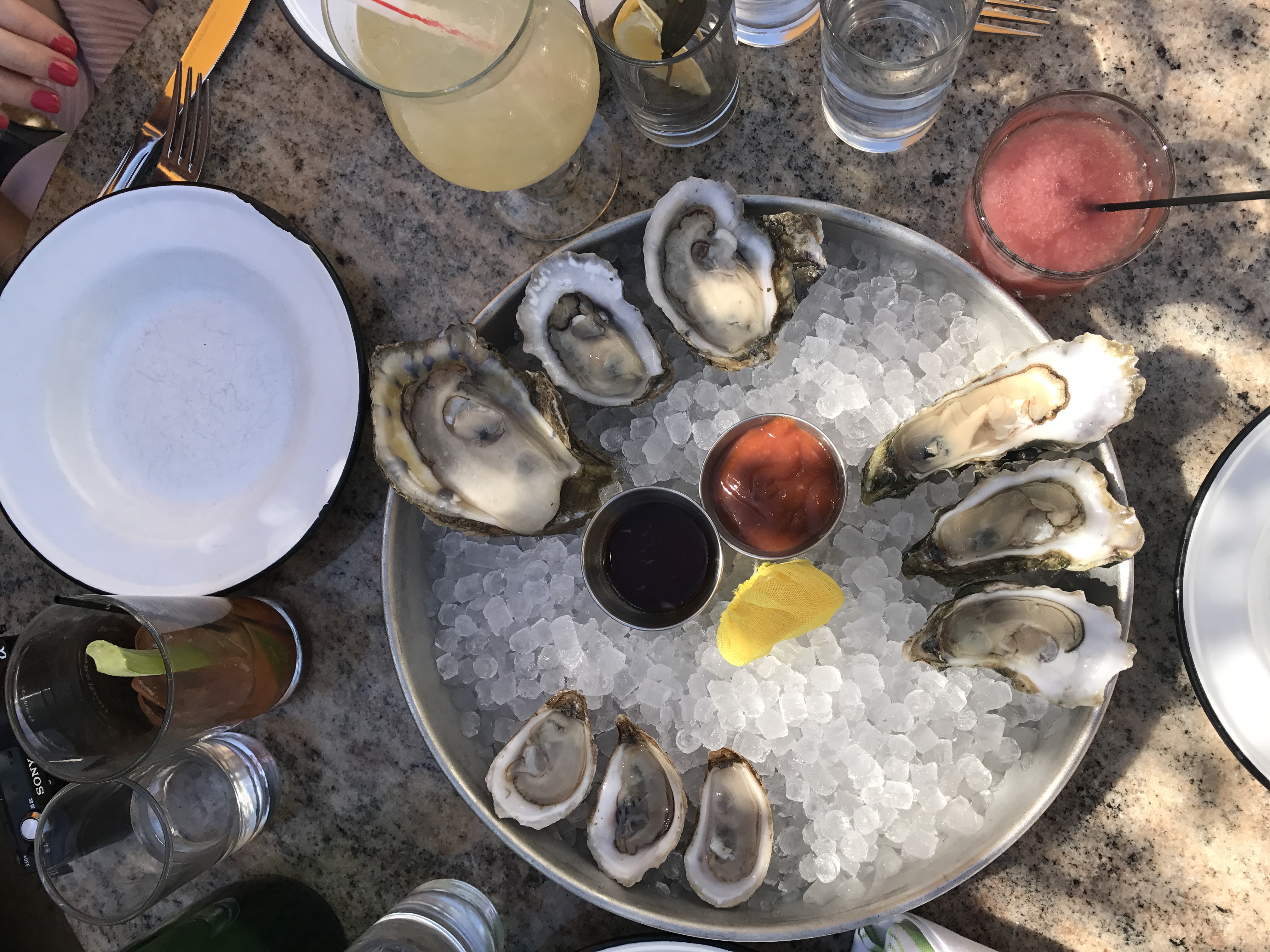 Local oysters