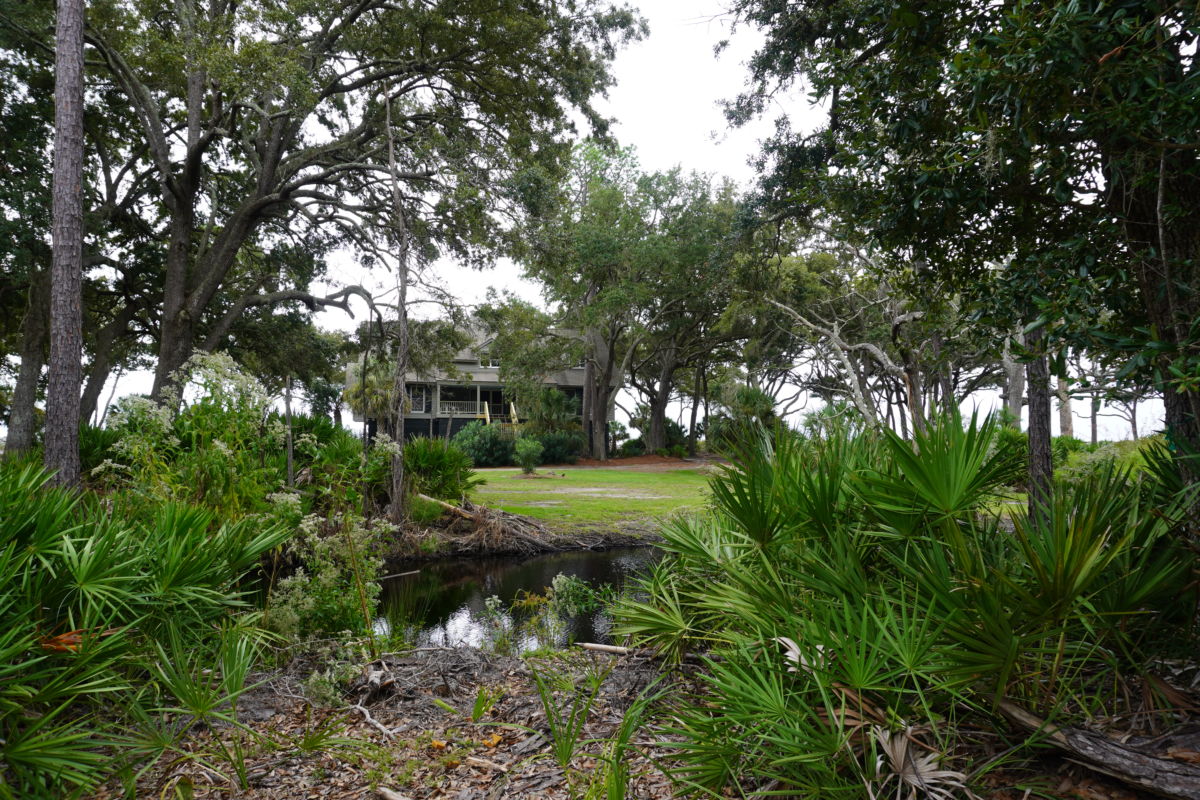 10 photos that show Beaufort is a Spanish moss lover's paradise