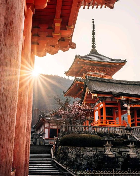 Tokyo, Japan, city, building, color, nature, travel, lifestyle, abroad, destination, culture, temple