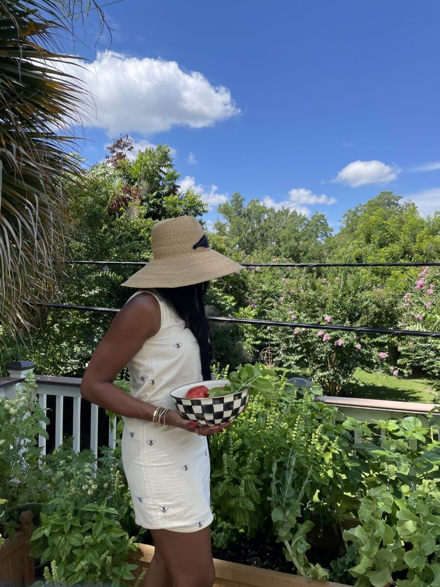 My Homegrown Harvest: How I Built a Thriving Vegetable Garden in
